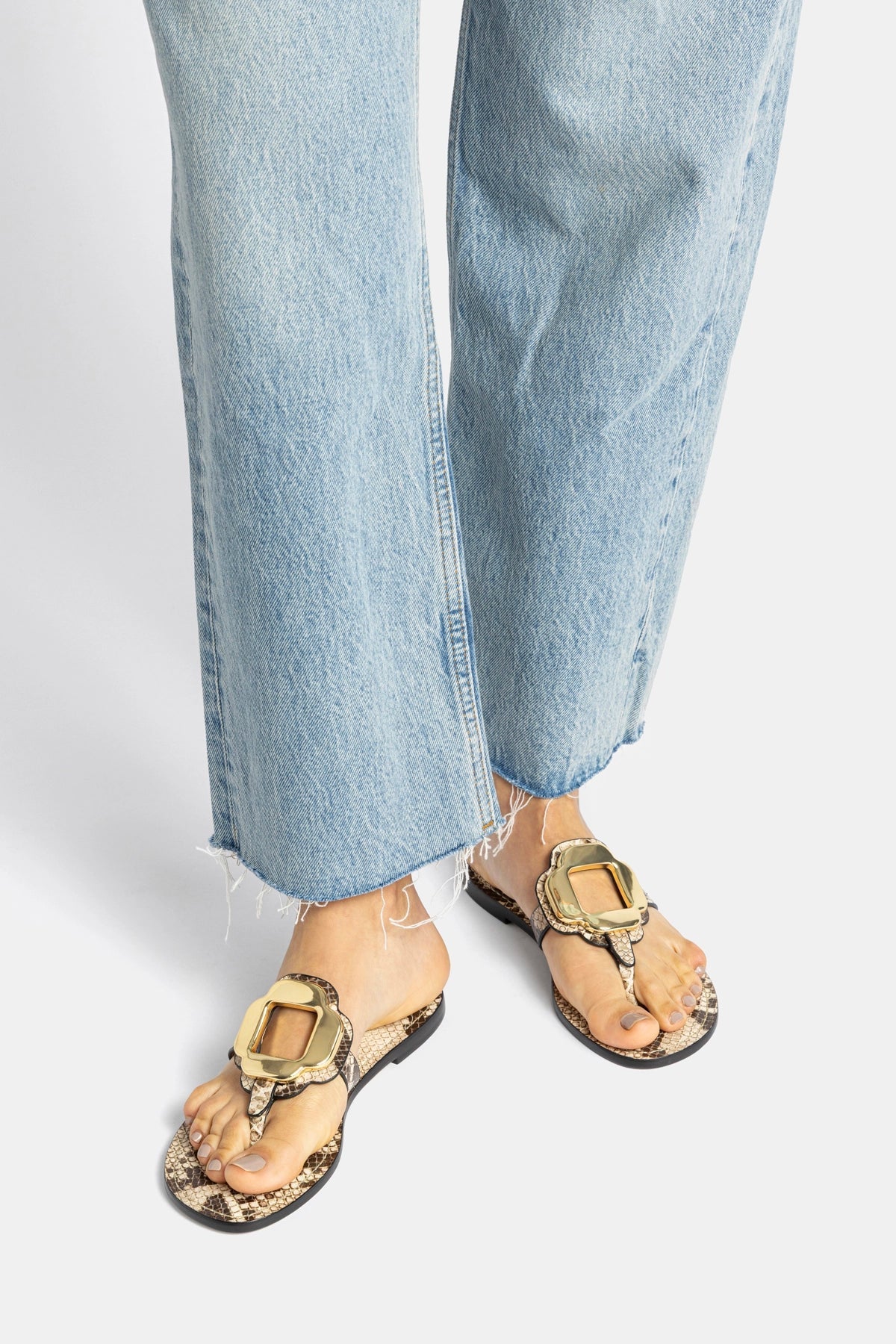 Margherita Thong Sandal in Neutral Snake Leather and Gold Hardware - Larroude