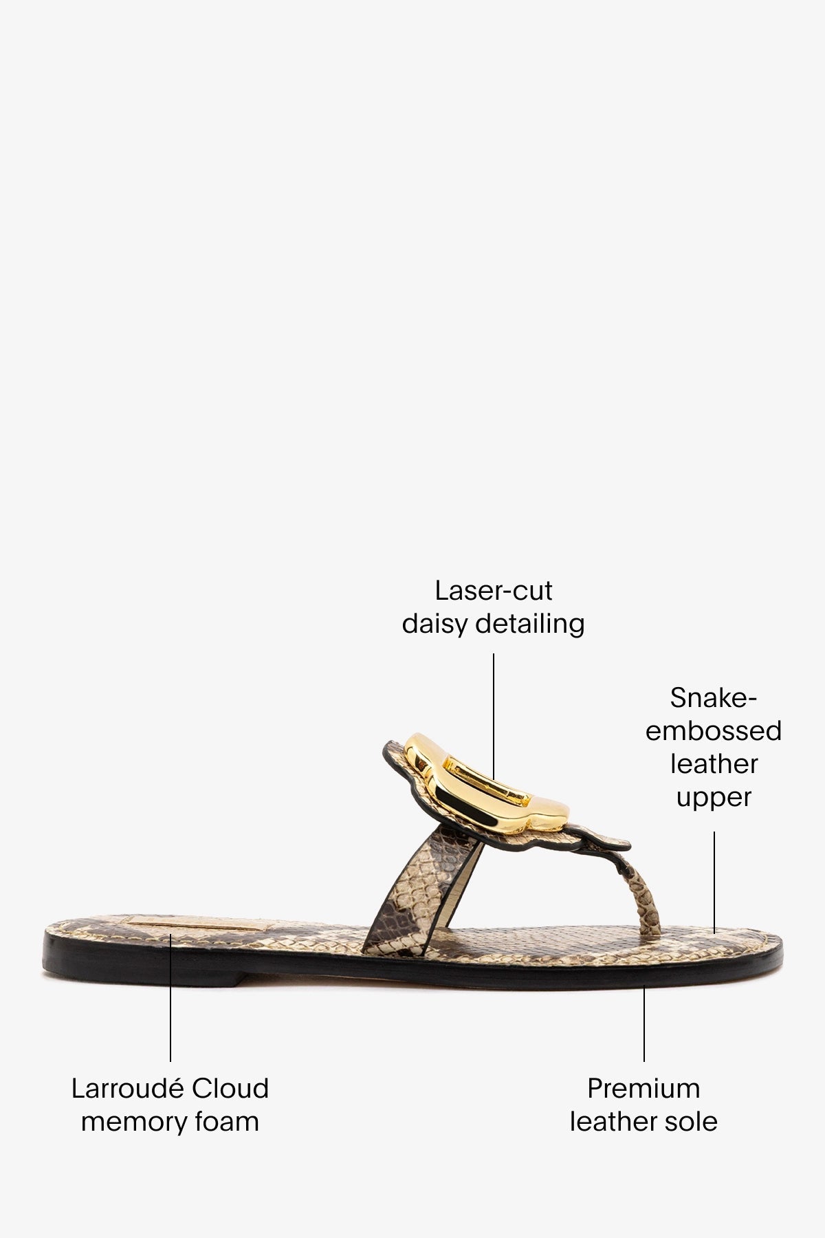 Margherita Thong Sandal in Neutral Snake Leather and Gold Hardware - Larroude