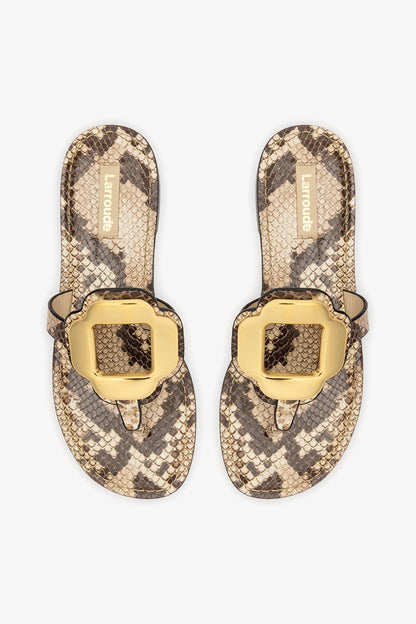 Margherita Thong Sandal in Neutral Snake Leather and Gold Hardware - Larroude