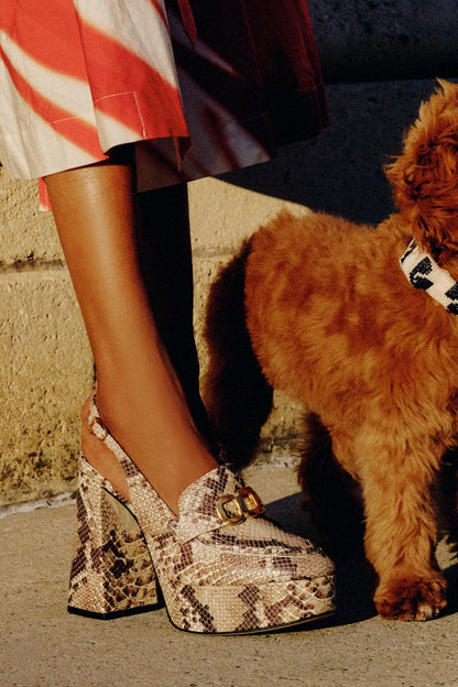 Harrington Loafer Hi In Neutral Snake Stamped Leather - Larroude